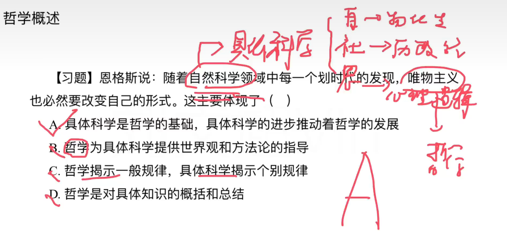 image-20240916115123990