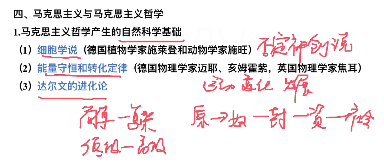 image-20240916164823947