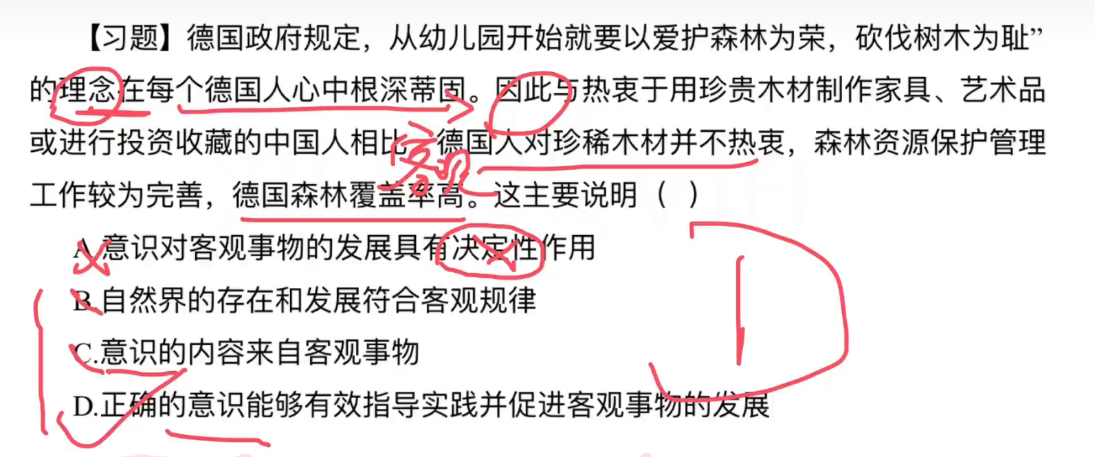 image-20240919113725474