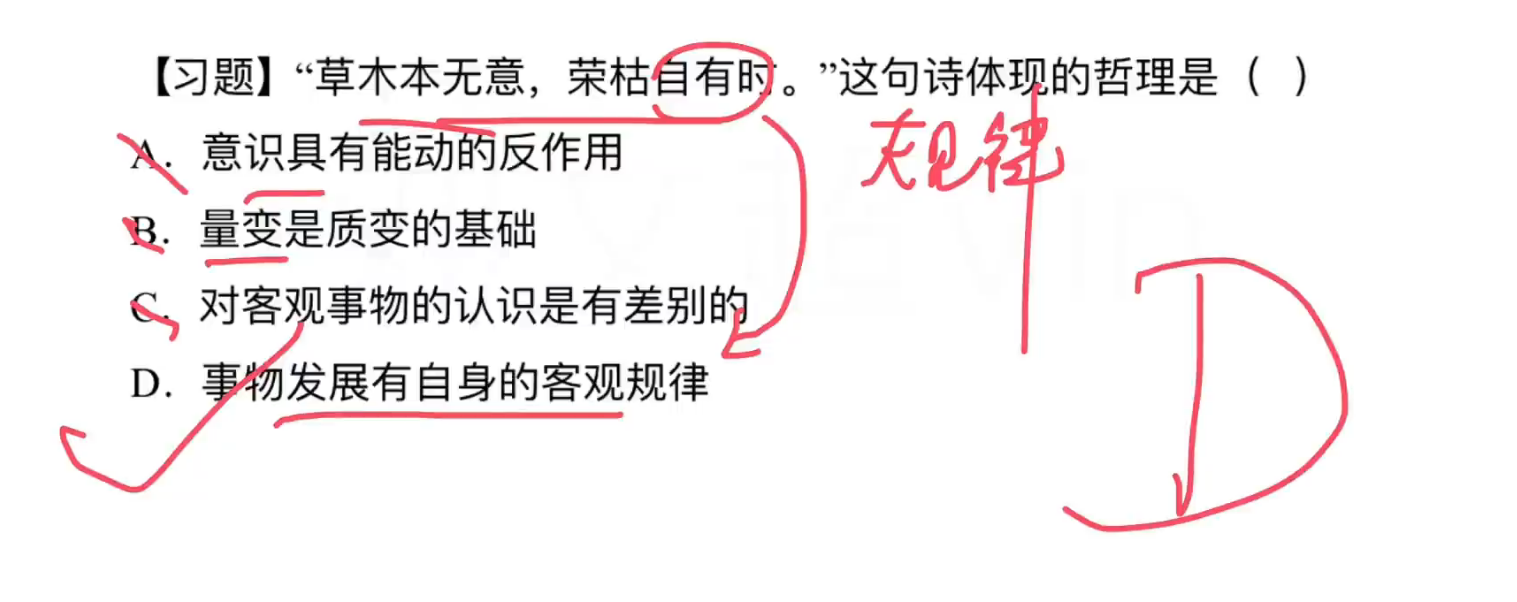 image-20240919123003544