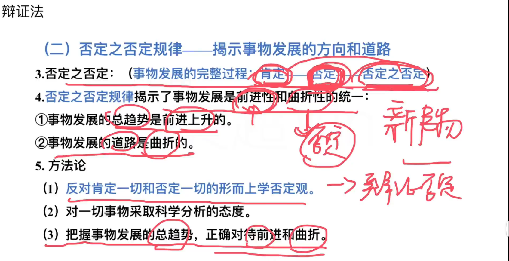 image-20240919191534506