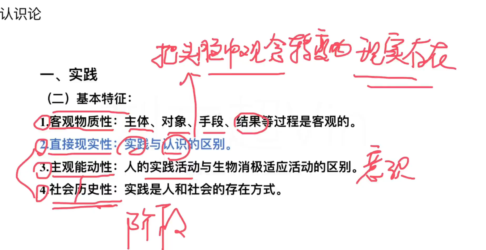 image-20240920174706902