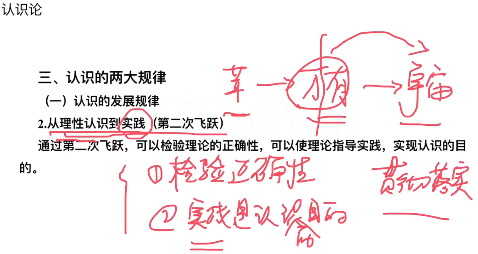 image-20241004105051272