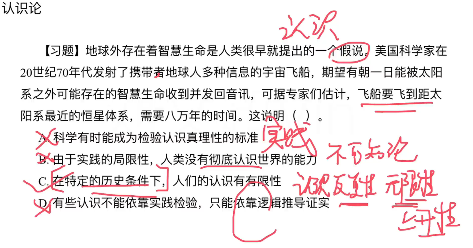 image-20241004115952039