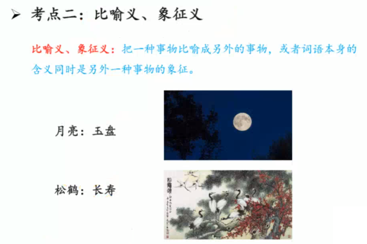 image-20250205182303470