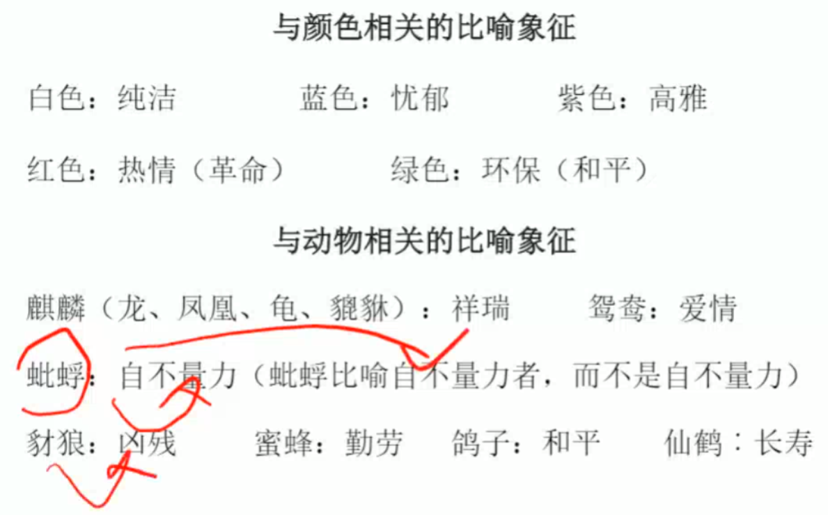 image-20250205184036769