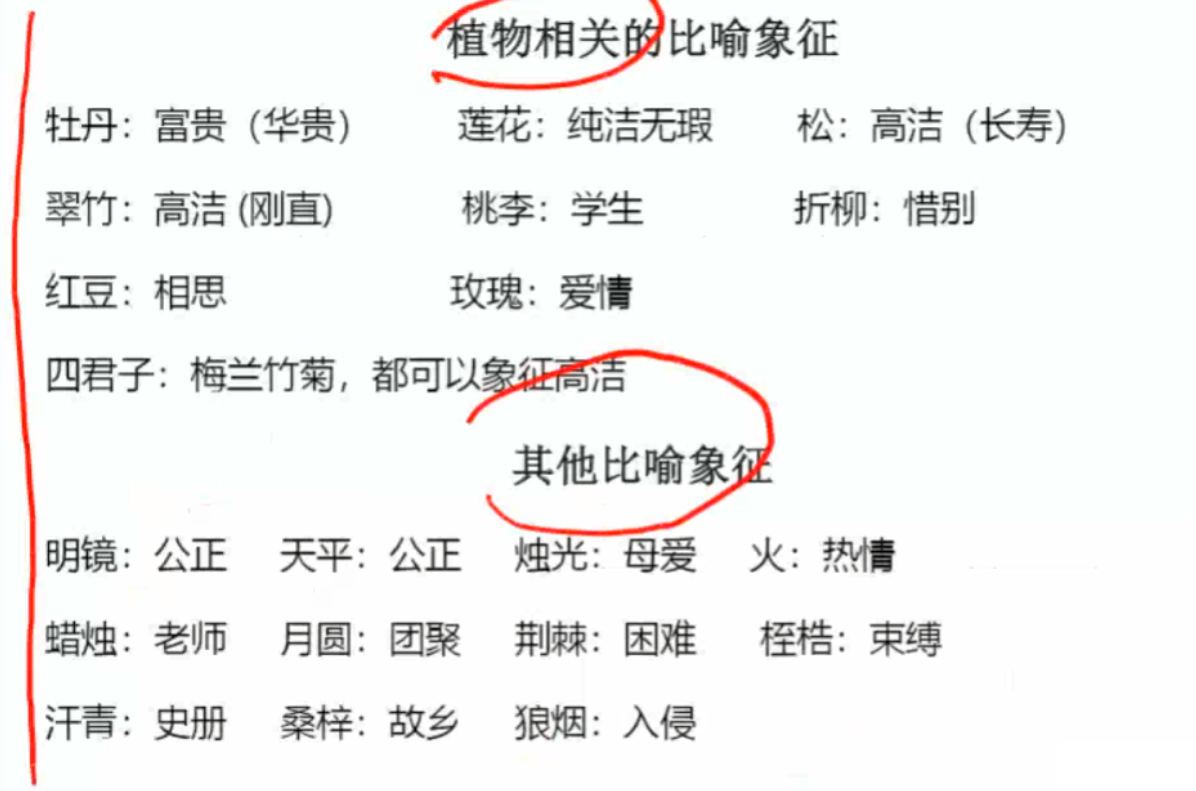 image-20250205184128628